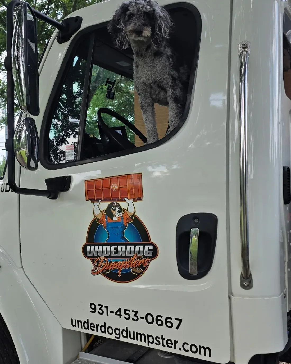 Underdog Dumpster roll-off truck in Clarksville with the company dog standing in the open cab window, and the door showing the Underdog Dumpsters logo, the phone number 931-453-0667, and underdogdumpster.com