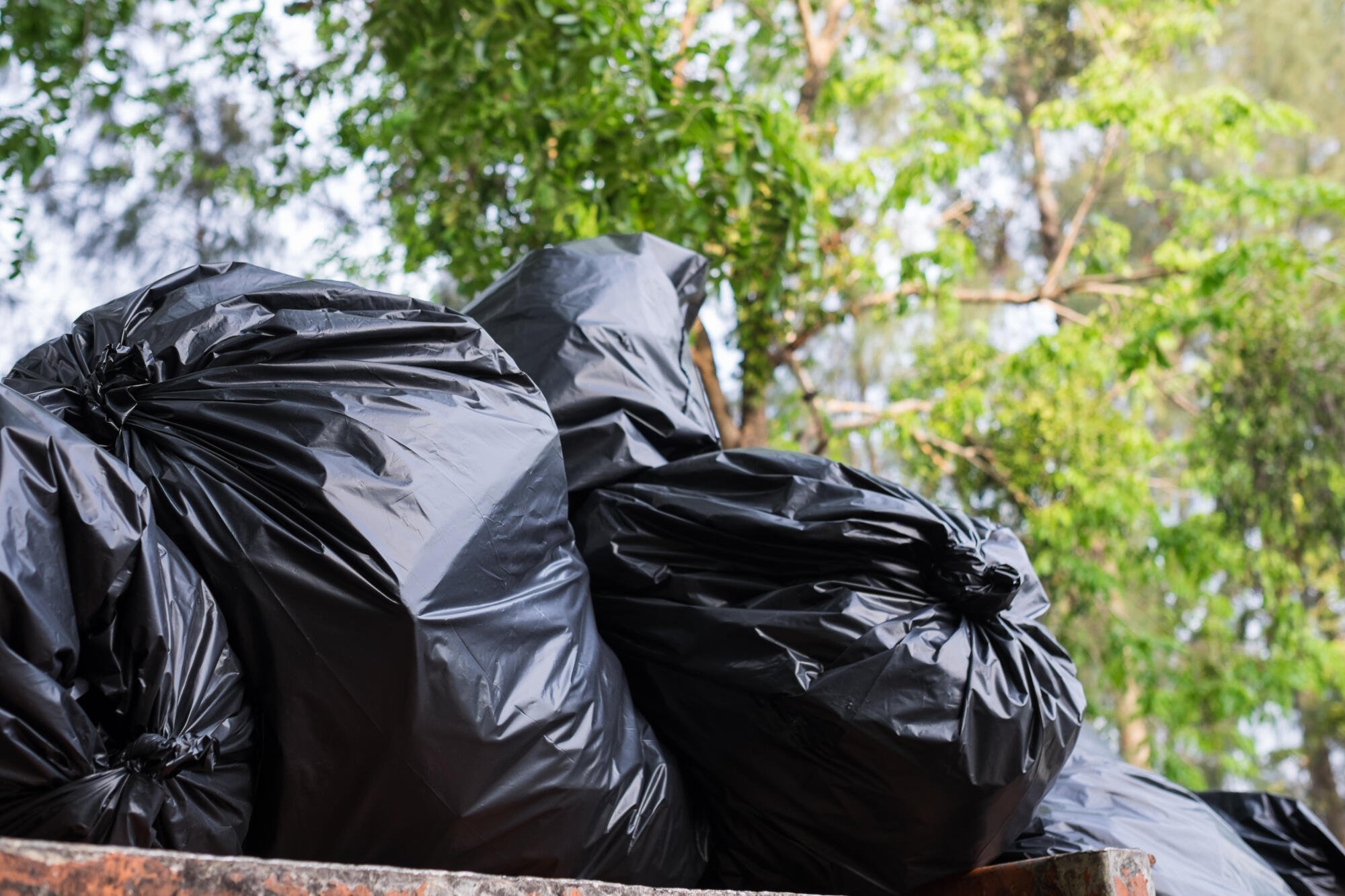 dumpster rental near me