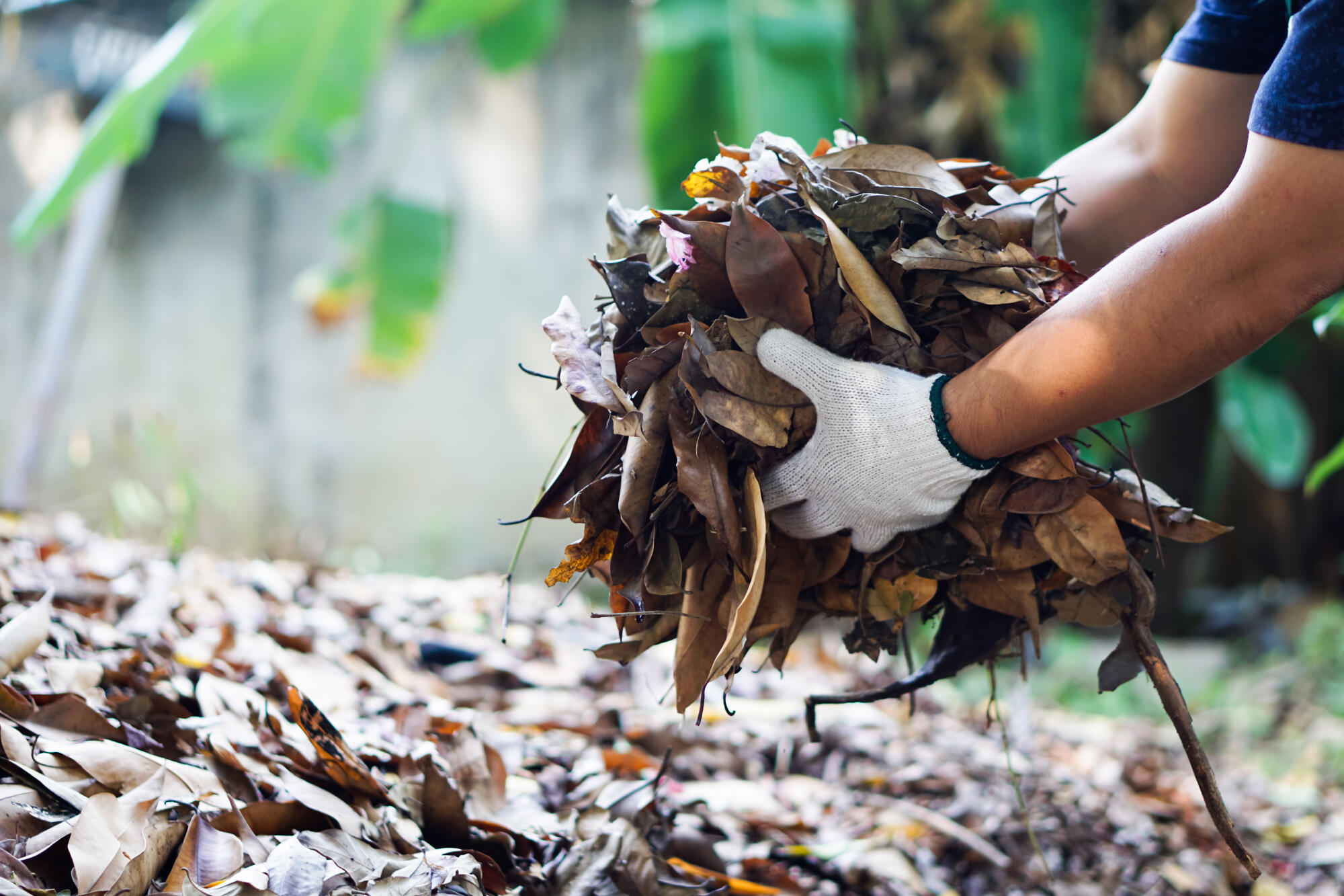 dumpster for yard waste